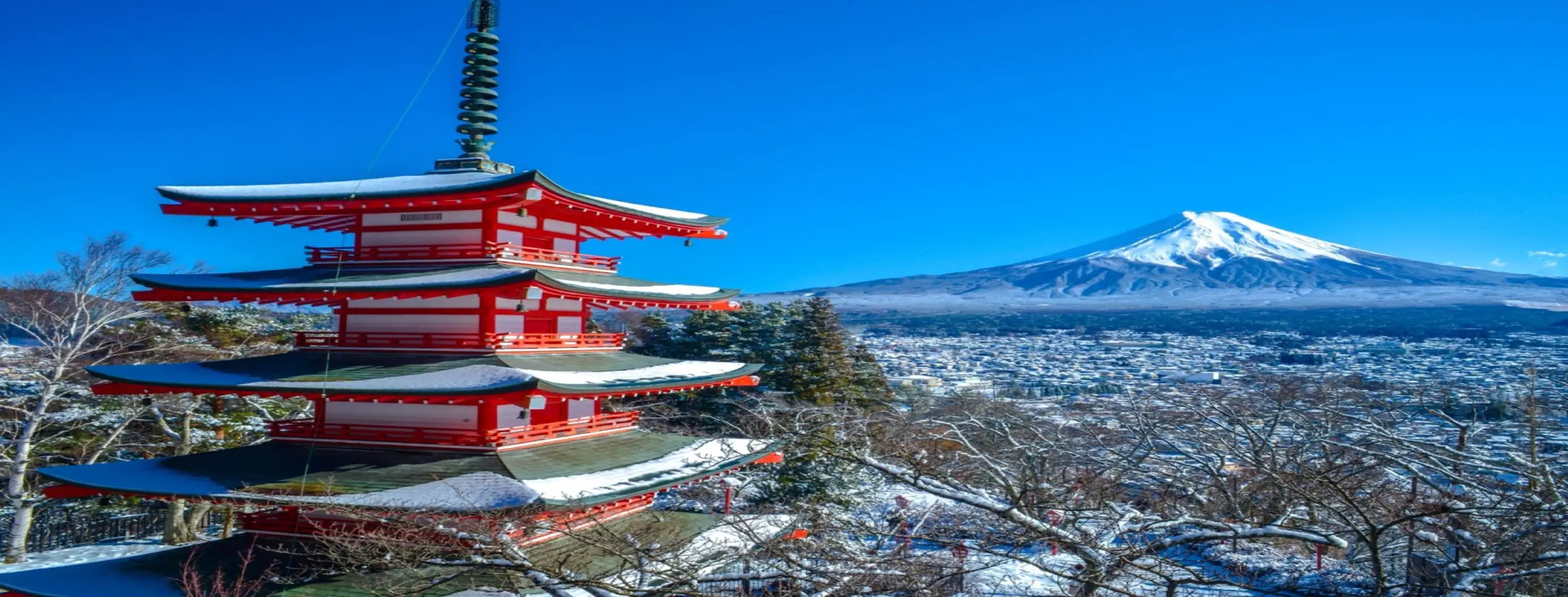 Image for Pagoda Panorama